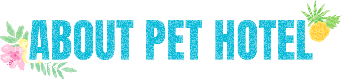 ABOUT PET HOTEL